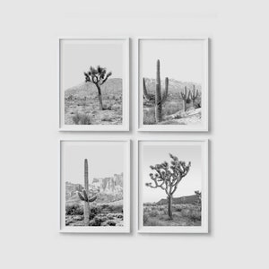 Arizona Wüste Wandkunst, Kaktus Boho Wüstendruck, 4er-Set Drucke, Schwarzweiß, Joshua Tree Print Kaktus Poster Southwestern Wall Decor