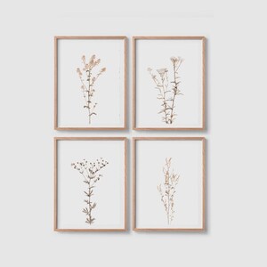 Print set of 4 Wildflower prints Botanical poster Wildflower posters Floral wall art print Flower print Botanical wall art Flower wall art image 3