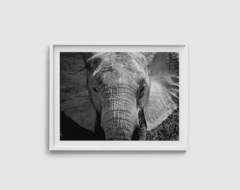 Elephant print Elephant wall art Elephant art Black and white art print Elephant poster Elephant photography Elephant large art Photo prints