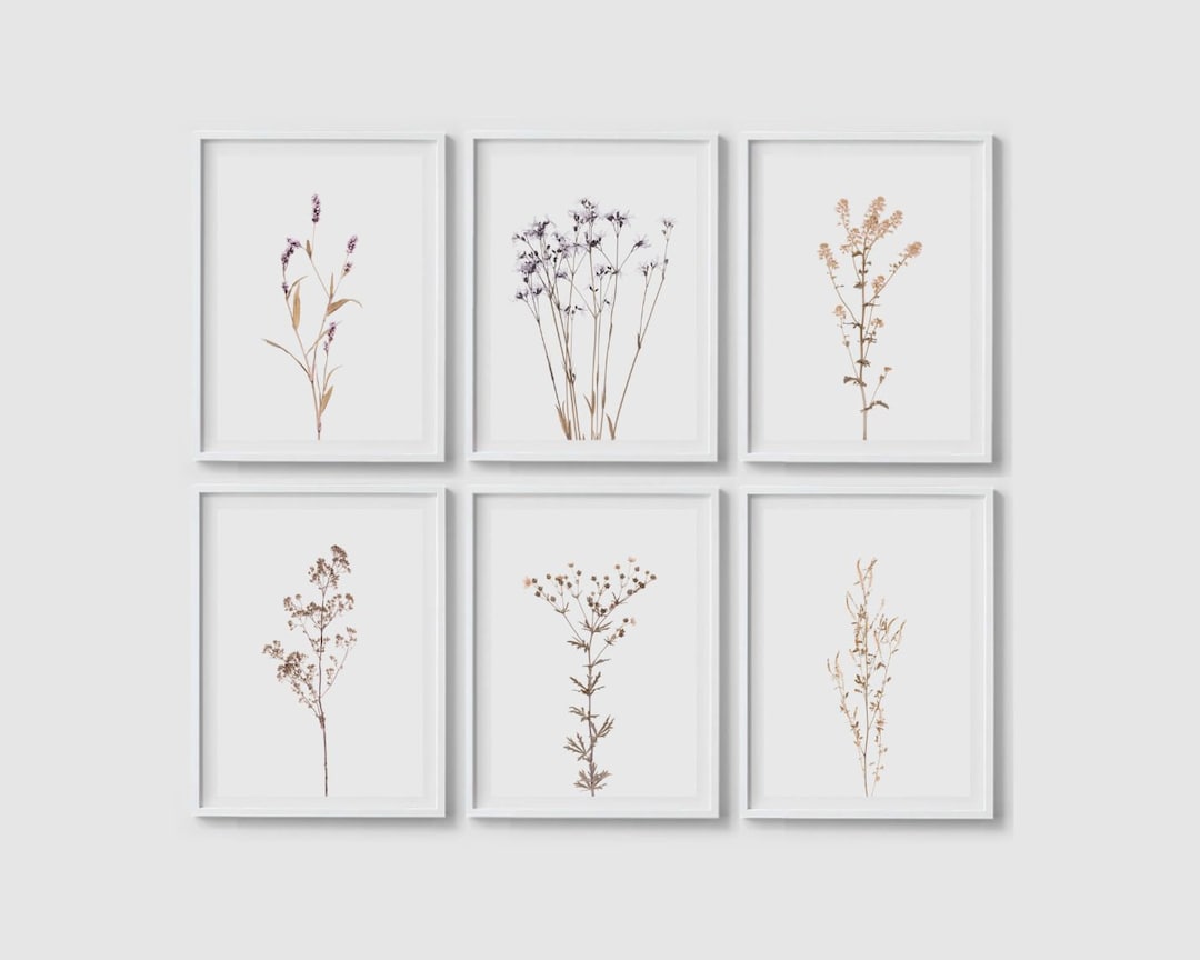Floral Print Set of 6 Wildflower Prints Botanical Poster Floral Wall ...