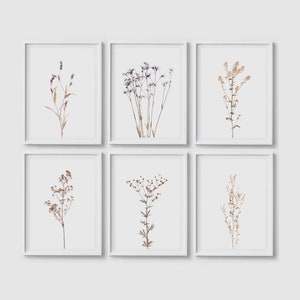 Floral print set of 6 Wildflower prints Botanical poster Floral wall art Botanical wall art Flower print Flower wall art Wildflower posters