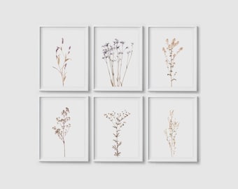 Floral print set of 6 Wildflower prints Botanical poster Floral wall art Botanical wall art Flower print Flower wall art Wildflower posters