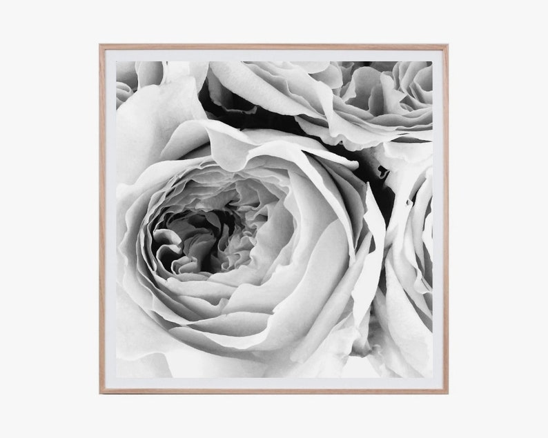 Set of 3 prints set Peony wall art set Flower print Square prints Peony print Floral print Black and white Peony art set Peonies wall art imagem 5