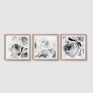 Set of 3 prints set Peony wall art set Flower print Square prints Peony print Floral print Black and white Peony art set Peonies wall art image 2