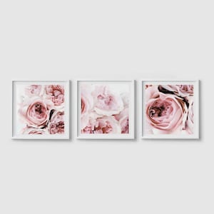 Lot de 3 imprimés pivoines ORIGINAL, art mural pivoines, imprimé fleurs, art pivoine, estampes rose blush, imprimé floral carré, art mural pivoine, art rose
