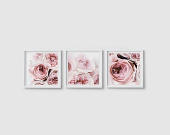 Peony Print Set of 3, Peonies Wall Art, Flower Print, Peony Art, Blush Pink Prints, Square Floral Print, Peony Wall Art, Pink Art