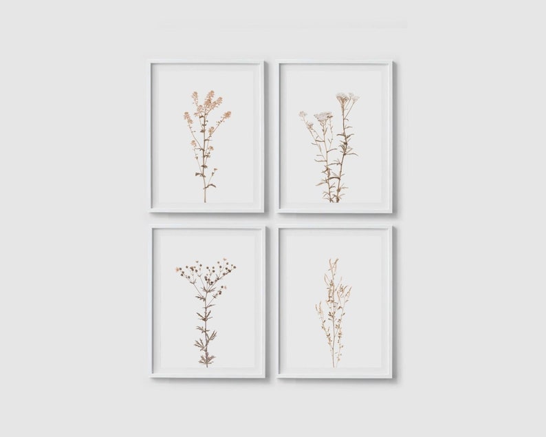 Print set of 4 Wildflower prints Botanical poster Wildflower posters Floral wall art print Flower print Botanical wall art Flower wall art image 1