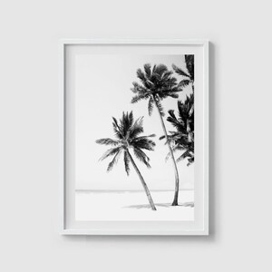 Palm tree print Beach photography Palm print Beach art print Palm trees Coastal art Tropical print Tropical tree art Beach wall art Download