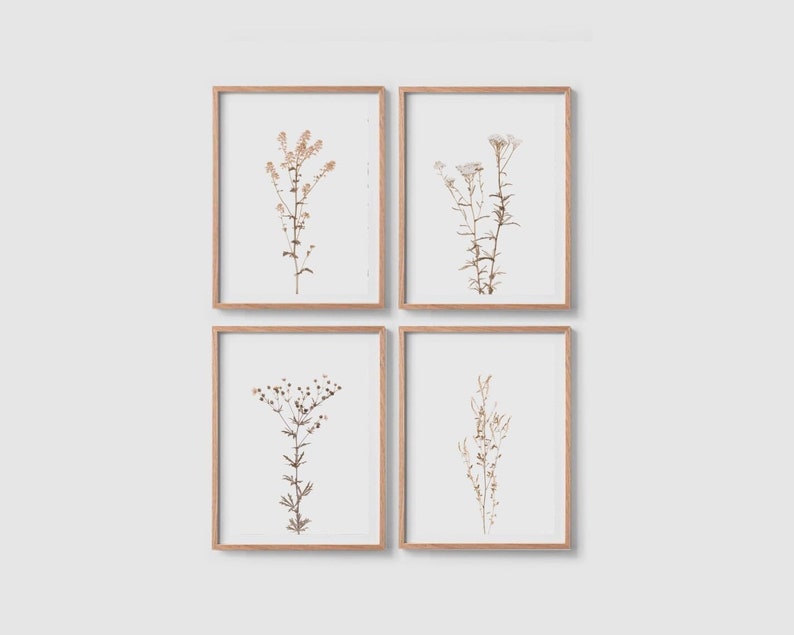 Print set of 4 Wildflower prints Botanical poster Wildflower posters Floral wall art print Flower print Botanical wall art Flower wall art image 3