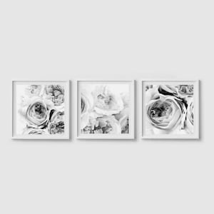 Set of 3 prints set Peony wall art set Flower print Square prints Peony print Floral print Black and white Peony art set Peonies wall art image 1