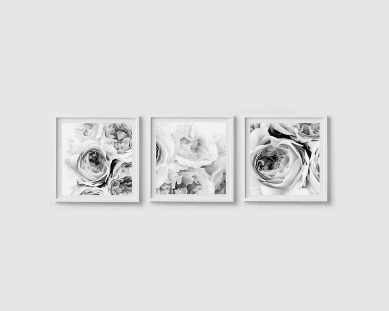 Set of 3 prints set Peony wall art set Flower print Square prints Peony print Floral print Black and white Peony art set Peonies wall art imagem 1