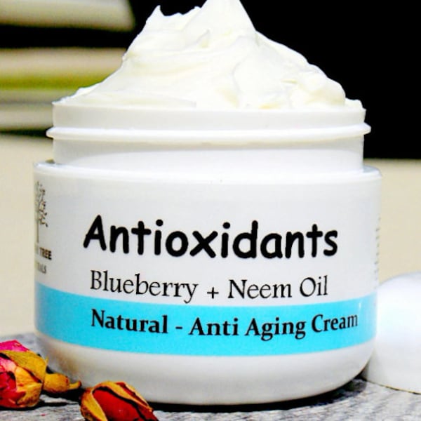 Antioxidant Face Cream /Face Moisturizer / Anti Aging VitaminC Handmade Natural Skin Care
