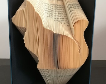 Book Folding Pattern - Cat + Free Instructions