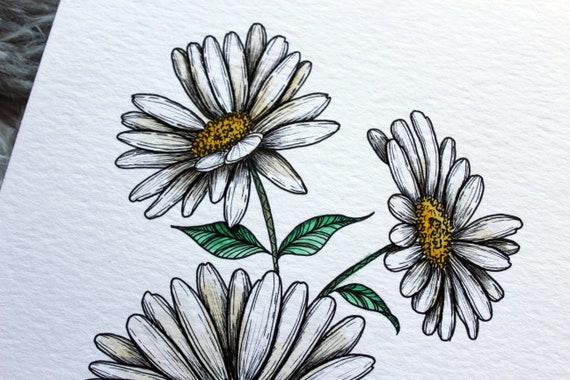 Ilustración Original MARGARITAS Dibujo flores Original punta - Etsy México Ilustración Original MARGARITAS Dibujo flores Original punta - Etsy México