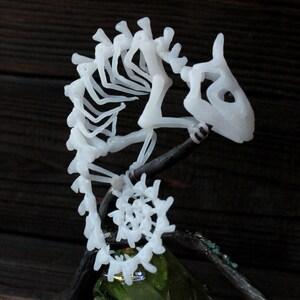 The Statuette of Chameleon Skeleton Made of Polymer Clay, Handmade ...
