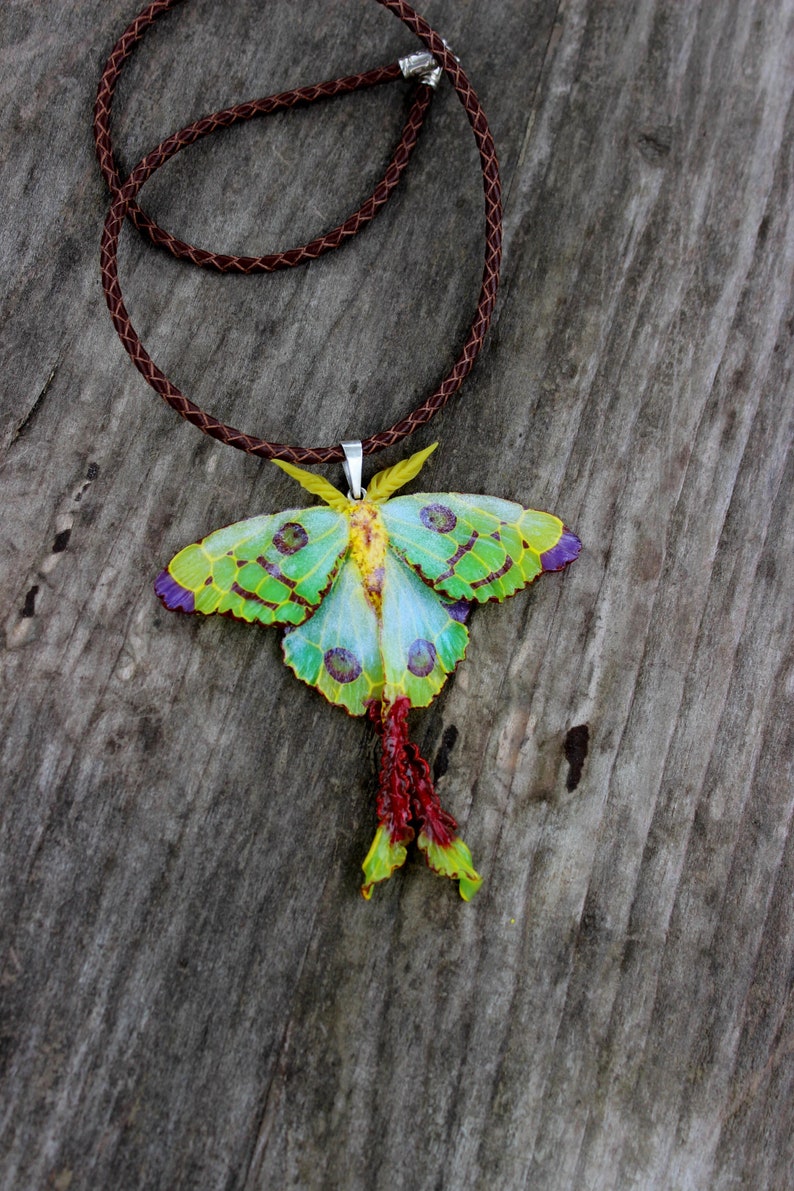 Luna moth brooch Polymer clay brooch handmade art jewelry Etsy