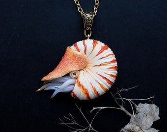 Nautilus belauensis necklace ~ art Nautilus pendant ~ ocean pendant jewelry ~ designer jewelry ~ sea amulet pendant