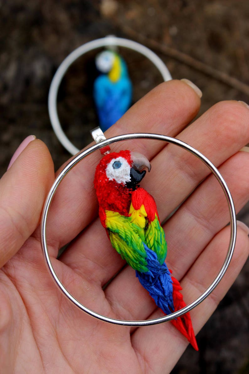 Macaw birds earrings big Circle silver 925 earrings Macaw Etsy