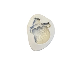 Könnte beinhalten: Eine weiße Silikonform in Form eines menschlichen Herzens. Die Form hat ein detailliertes anatomisches Design des Herzens.