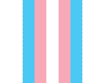 Transgender Pride Flag - Ready-To-Print Guitar Effects Pedal Artwork