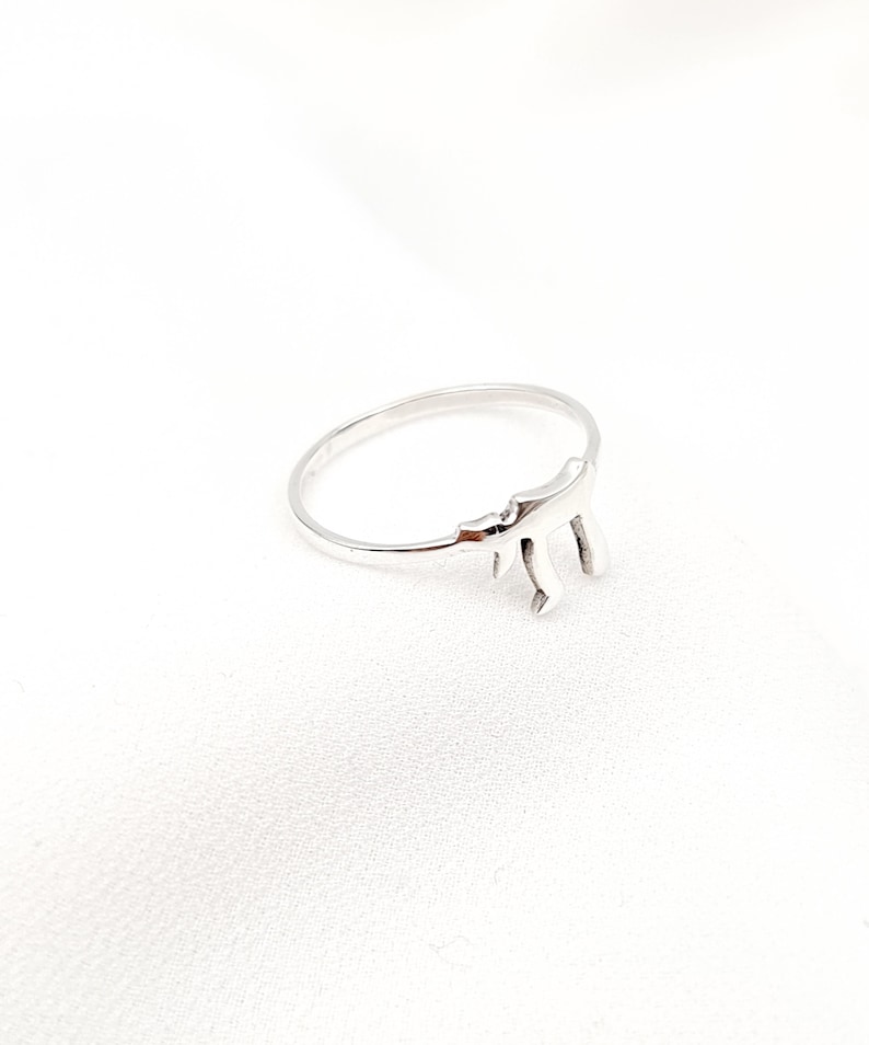 May include: A silver ring with a Hebrew letter design.