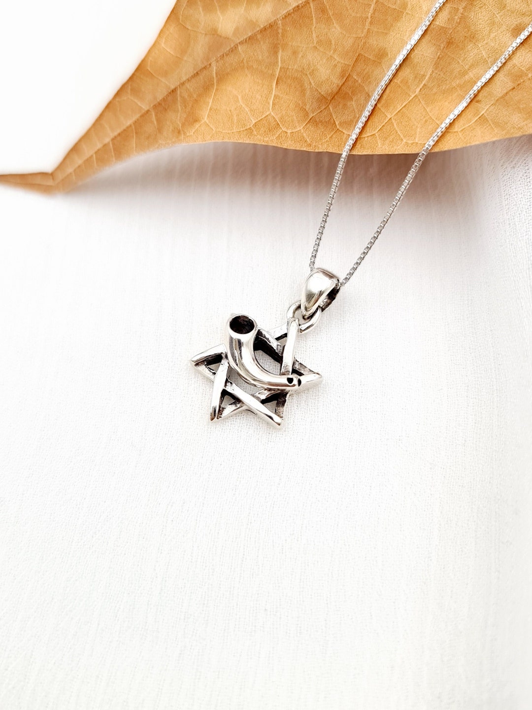 Star of David With Shofar Pendant Necklace 925 Sterling Silver, Silver