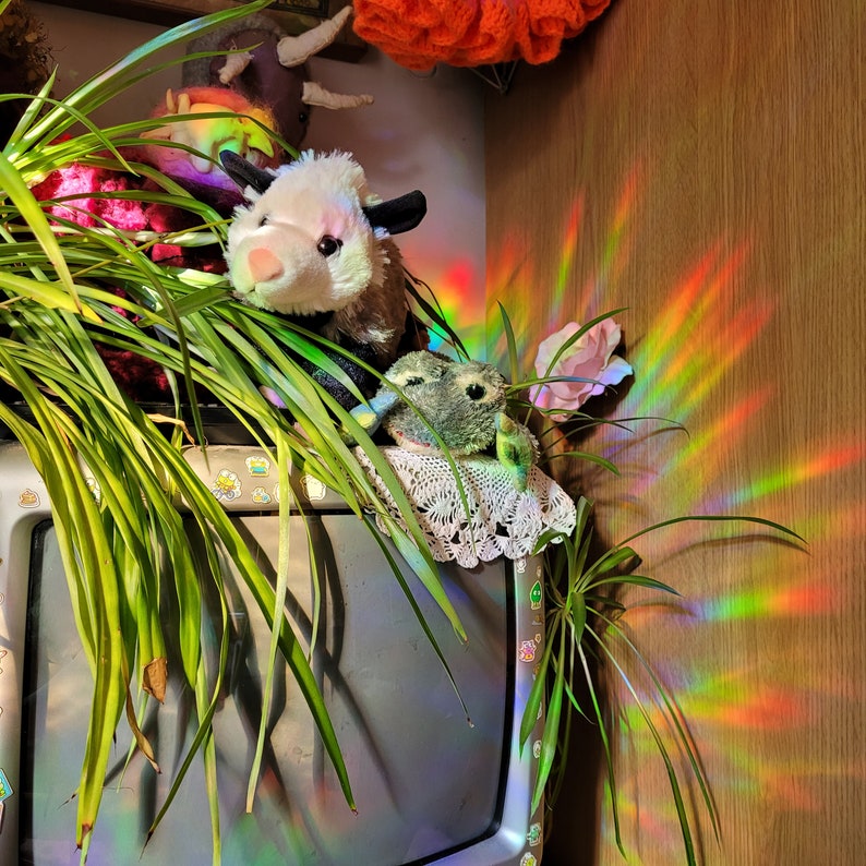 Op de afbeelding: Een stilleven met een pluche koe en kikker op een vintage televisie, met een graslelie. De sc&egrave;ne wordt verlicht door een regenbooglichteffect. Een roze roos en andere knuffels zijn zichtbaar op de achtergrond.