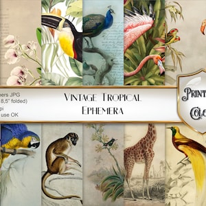 Vintage Junk Journal Tropical Ephemera, antiguas ilustraciones digitales de animales tropicales y flores para scrapbooking y decoupage