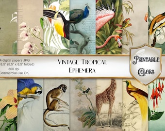 Vintage Junk Journal Tropical Ephemera, old digital illustrations of tropical animals and flowers for scrapbooking and decoupage