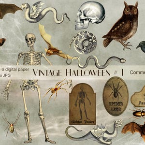 Vintage Halloween Digital Scrapbook Kit, clipart and backgrounds for scrapbooking e decoupage