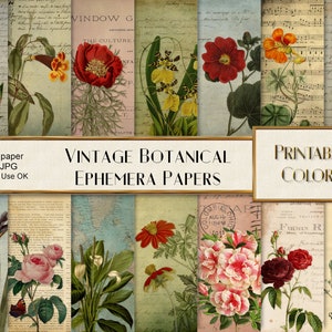 Carta digitale botanica - botanica vintage - digital download - carta floreale - sfondi fiori -  botanica - ephemera - decoupage botanica