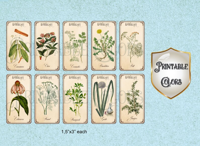Digital Vintage Herb and Spice Labels, Printable Botanical Labels for ...