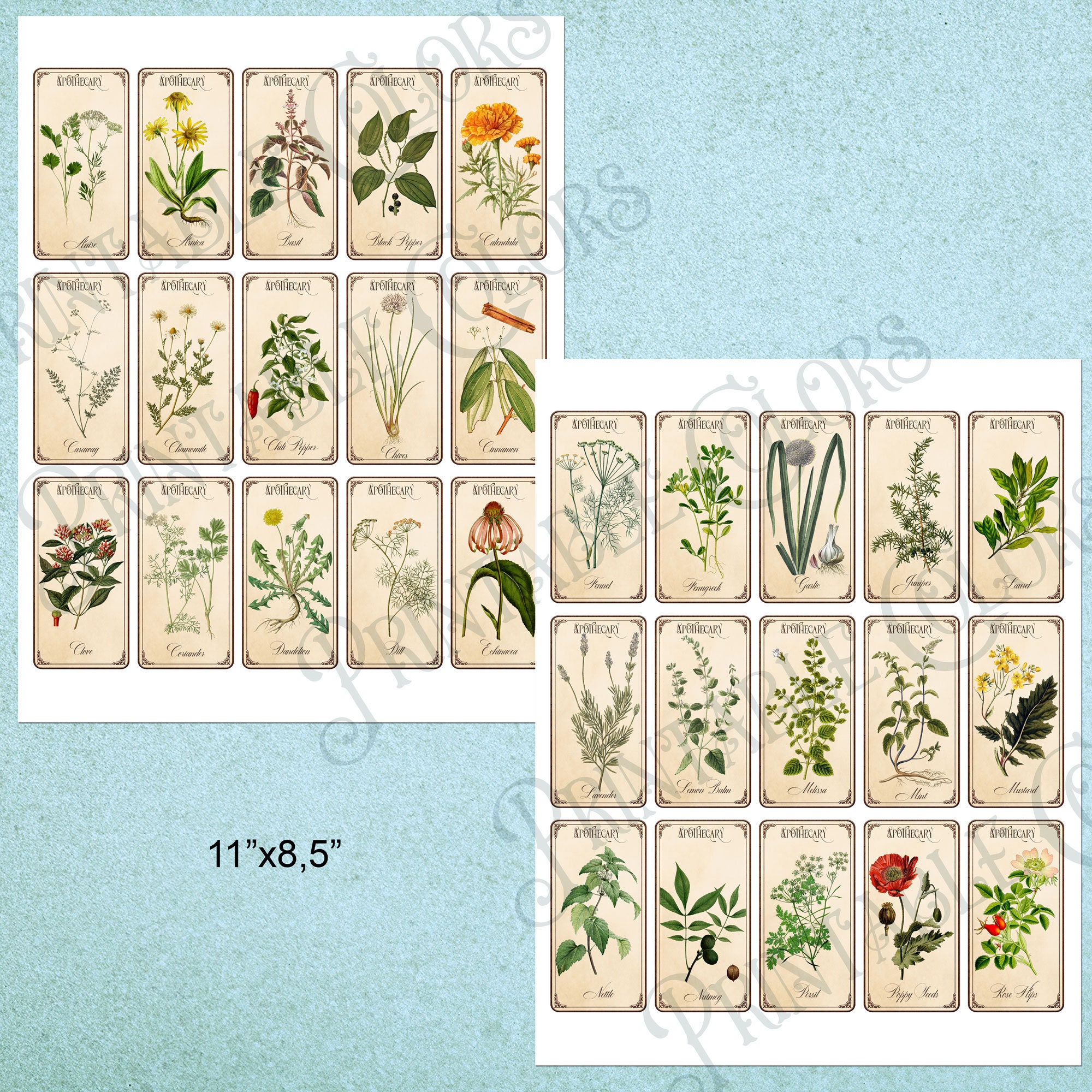 Digital Vintage Herb and Spice Labels, Printable Botanical Labels for ...
