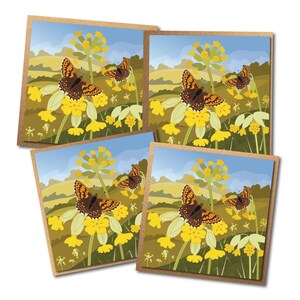 Cartes Fleurs sauvages et papillons - Paysage printanier illustré - Lot de 4 - Cartes de voeux écologiques