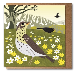 Carte Grive musicienne et fleurs printanières - oiseau illustré - Carte de voeux écologique