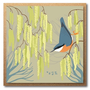 Carte sittelle - forêt illustrée - carte de voeux écologique