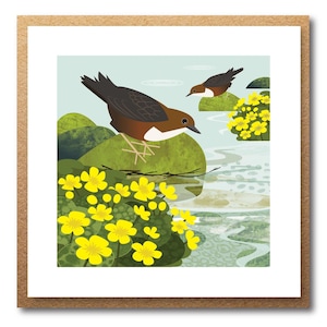 Carte oiseaux et fleurs - faune de la rivière illustrée - carte de voeux écologique