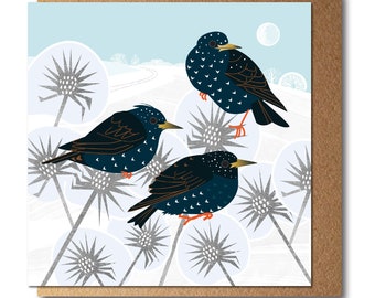 Starlings and Frosty Thistles Eco Greetings Card
