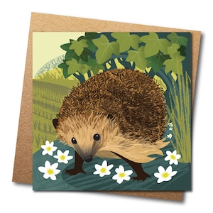 Carte hérisson - animaux illustrés - carte de voeux écologique