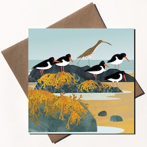 Carte courlis et huîtriers pie - oiseaux de rivage illustrés - carte de voeux écologique