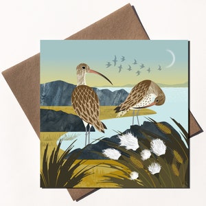 Carte courlis et linaigrettes - oiseaux illustrés - carte de voeux écologique