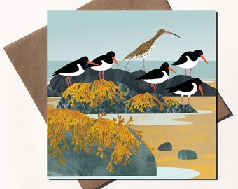 Curlew and Oystercatchers Eco Greetings Card