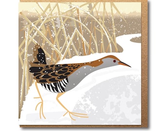 Water Rail and Frozen Pond  - Winter Eco Greetings Card