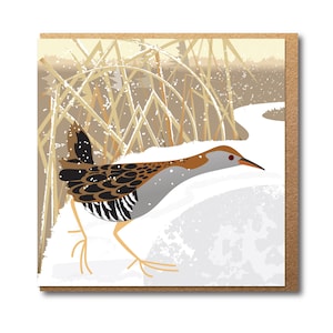 May include: A brown and gray bird with black markings walks through a snowy landscape. The bird has a long, thin beak and red eyes. The background is a snowy field with brown reeds.