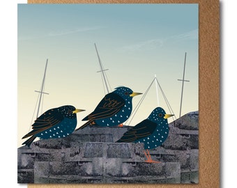 Starlings on the Harbour Wall Eco Greetings Card