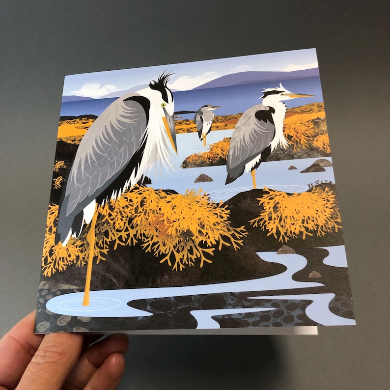 May include: A greeting card featuring an illustration of three herons standing in a marshy area. The herons have gray and white feathers, with long yellow legs. The background includes blue water, yellow foliage, and a blue sky.
