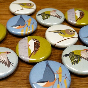 Woodland Bird Fridge Magnets - set of 4