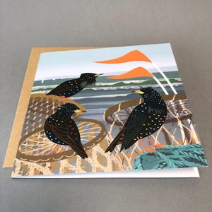 Starlings, Lobster Pots and Flags Greetings Card - illustrated birds - Eco friendly image 2