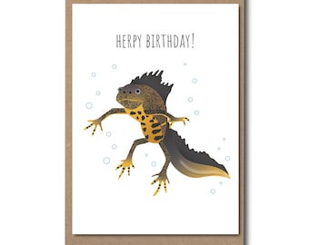 Great Crested Newt Birthday Eco Greetings Card