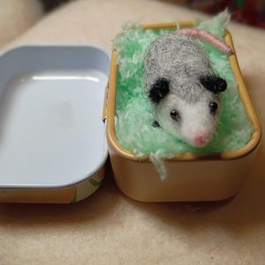 Könnte beinhalten: Eine handgefertigte Opossum-Figur aus Filz mit grauem und schwarzem Fell, rosa Nase und Schwanz, ruht in einer kleinen, beigefarbenen Box, die mit grünem Filz gefüllt ist. Die Box befindet sich neben einem leeren, hellblauen und beigefarbenen Behälter.